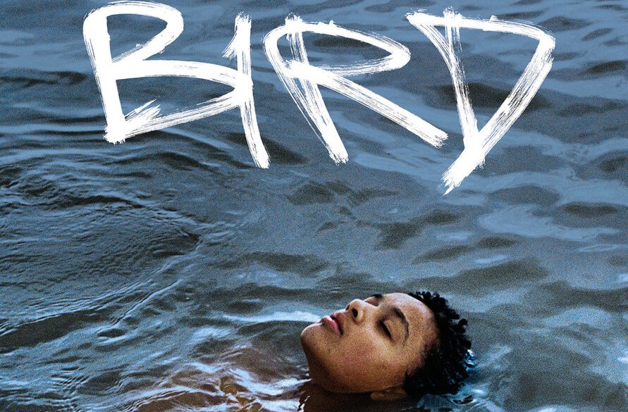 You are currently viewing 10 września, DKF Sztorm – film „Bird”