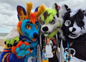 Read more about the article Bałtycki Fursuitwalk 2025: pierwszy marsz futrzaków w Kołobrzegu (WIDEO)