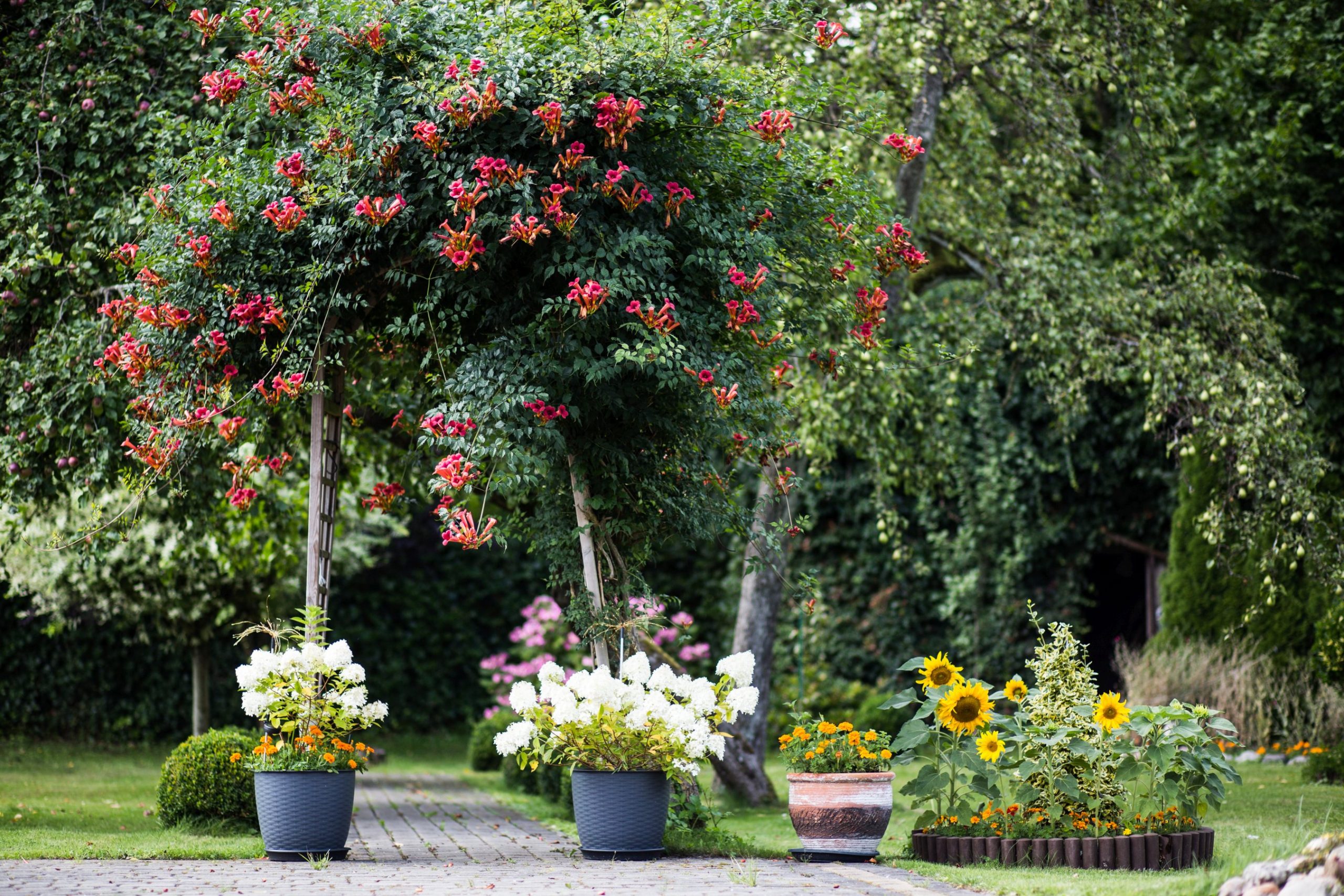 You are currently viewing Rozstrzygnięcie konkursu na najpiękniejszy balkon i ogródek (ZDJĘCIA)
