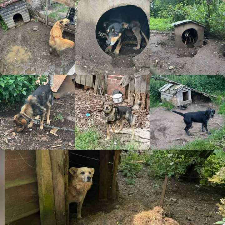 You are currently viewing Siłownia JACEK: trenuj razem z nami i pomagaj razem z nami!