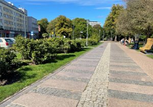 Read more about the article Zmiany przy Armii Krajowej. Tulipany zamiast rododendronów