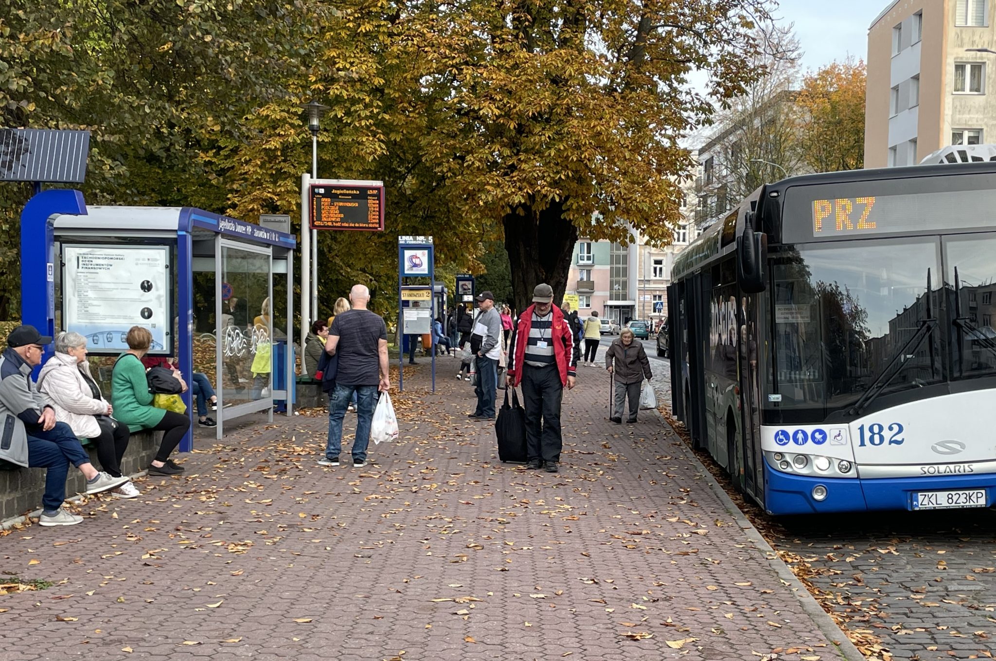 You are currently viewing Komunikacja miejska w Kołobrzegu do poprawki? Przewoźnik odpowiada