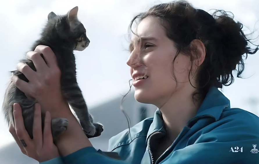 You are currently viewing 8 października, film „Sorry, Baby”