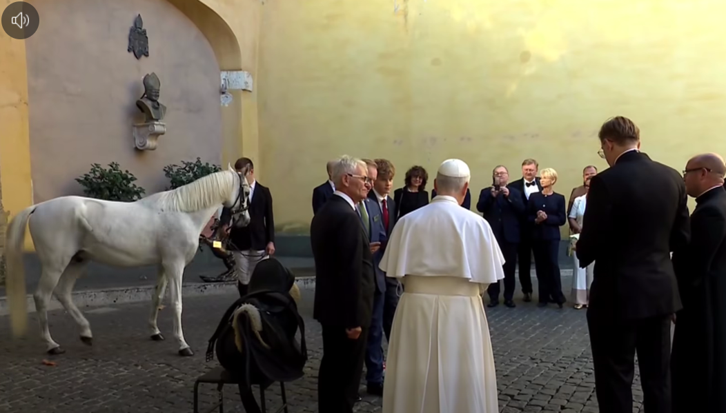 You are currently viewing Właściciel stadniny spod Kołobrzegu podarował Papieżowi ogiera czystej krwi arabskiej
