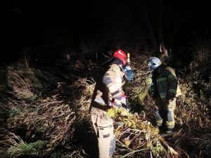 Read more about the article Straż Pożarna interweniuje z powodu gwałtownej pogody