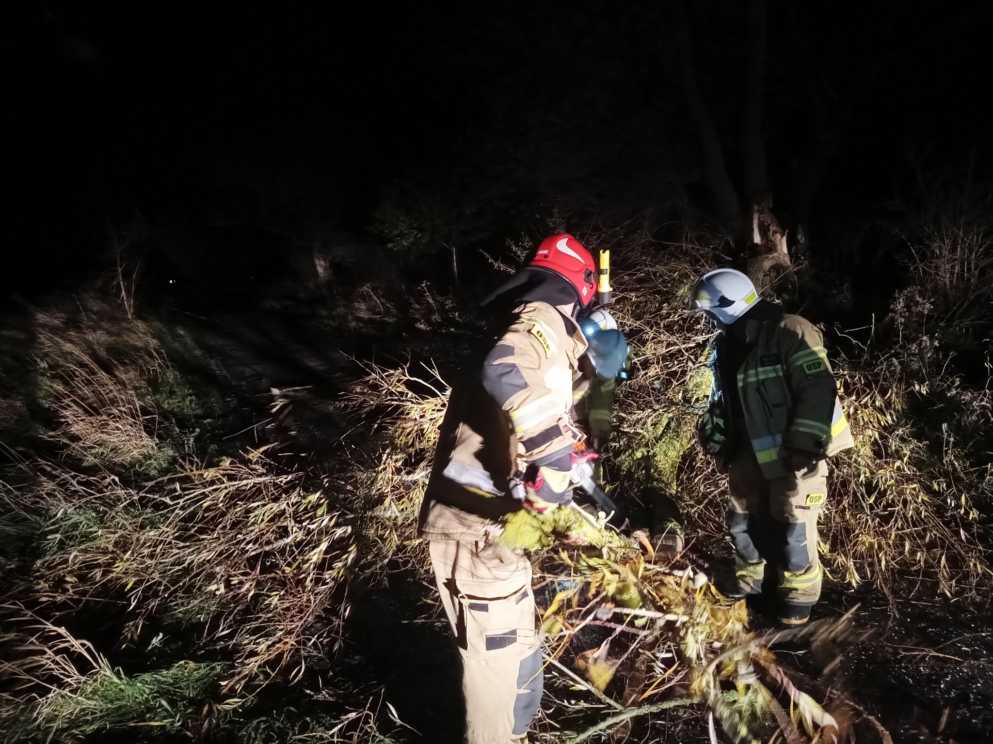 You are currently viewing Straż Pożarna interweniuje z powodu gwałtownej pogody