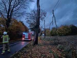 Read more about the article Tylko wczoraj 25 interwencji Straży Pożarnej w Kołobrzegu i pow. kołobrzeskim