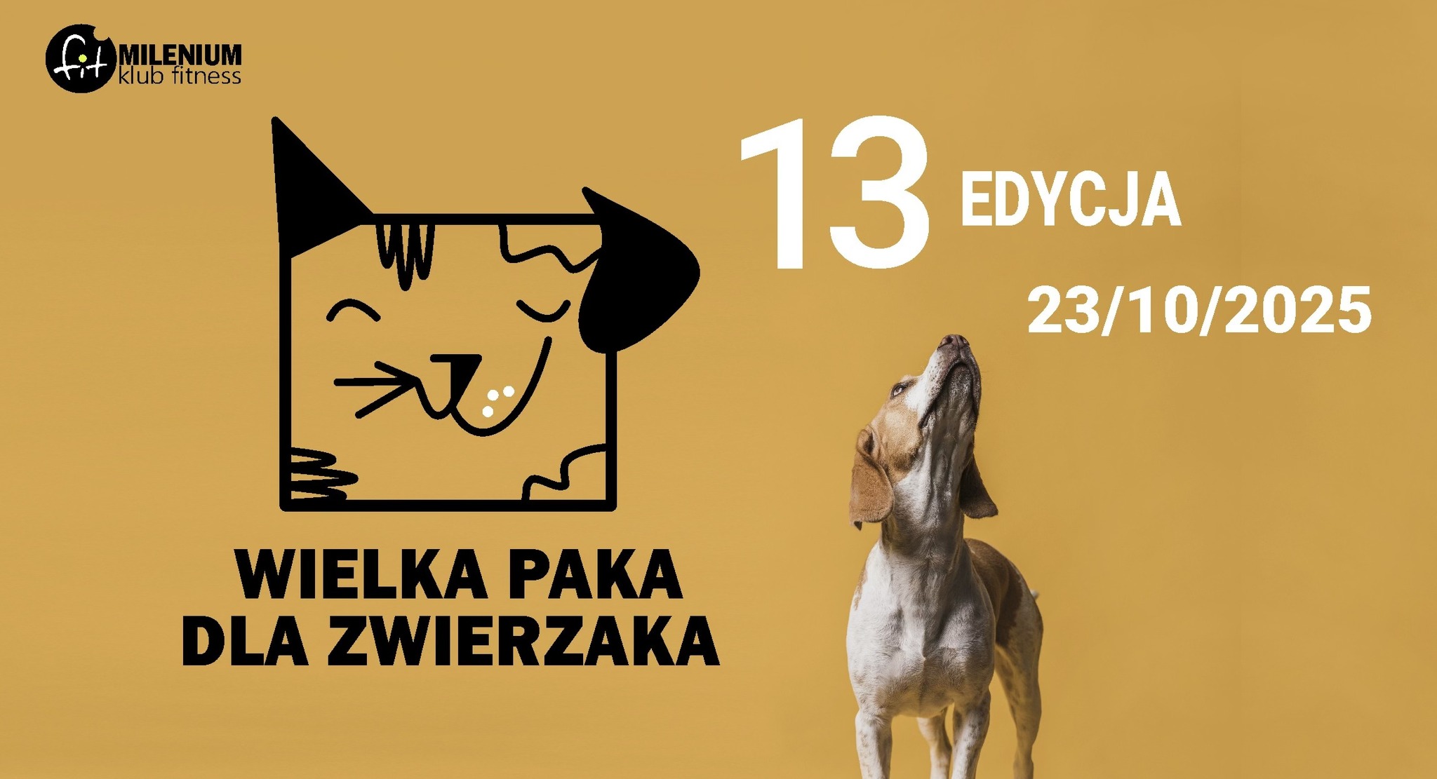 You are currently viewing 13. Wielka Paka dla Zwierzaka. W tym roku zbiórka dla Psikątka Tośkowej Ferajny