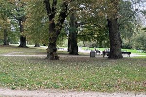 Read more about the article Modernizacja alejek w zabytkowym parku w Kołobrzegu