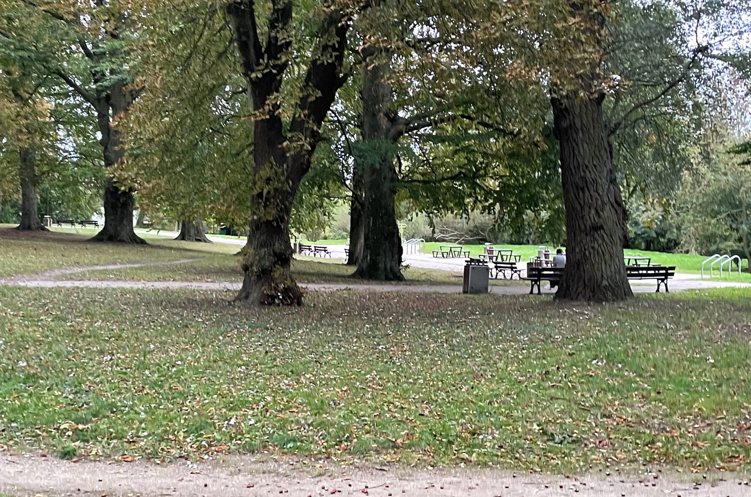 You are currently viewing Modernizacja alejek w zabytkowym parku w Kołobrzegu