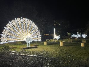 Read more about the article Wiemy już, ile miasto może zapłacić w tym roku za świąteczne dekoracje