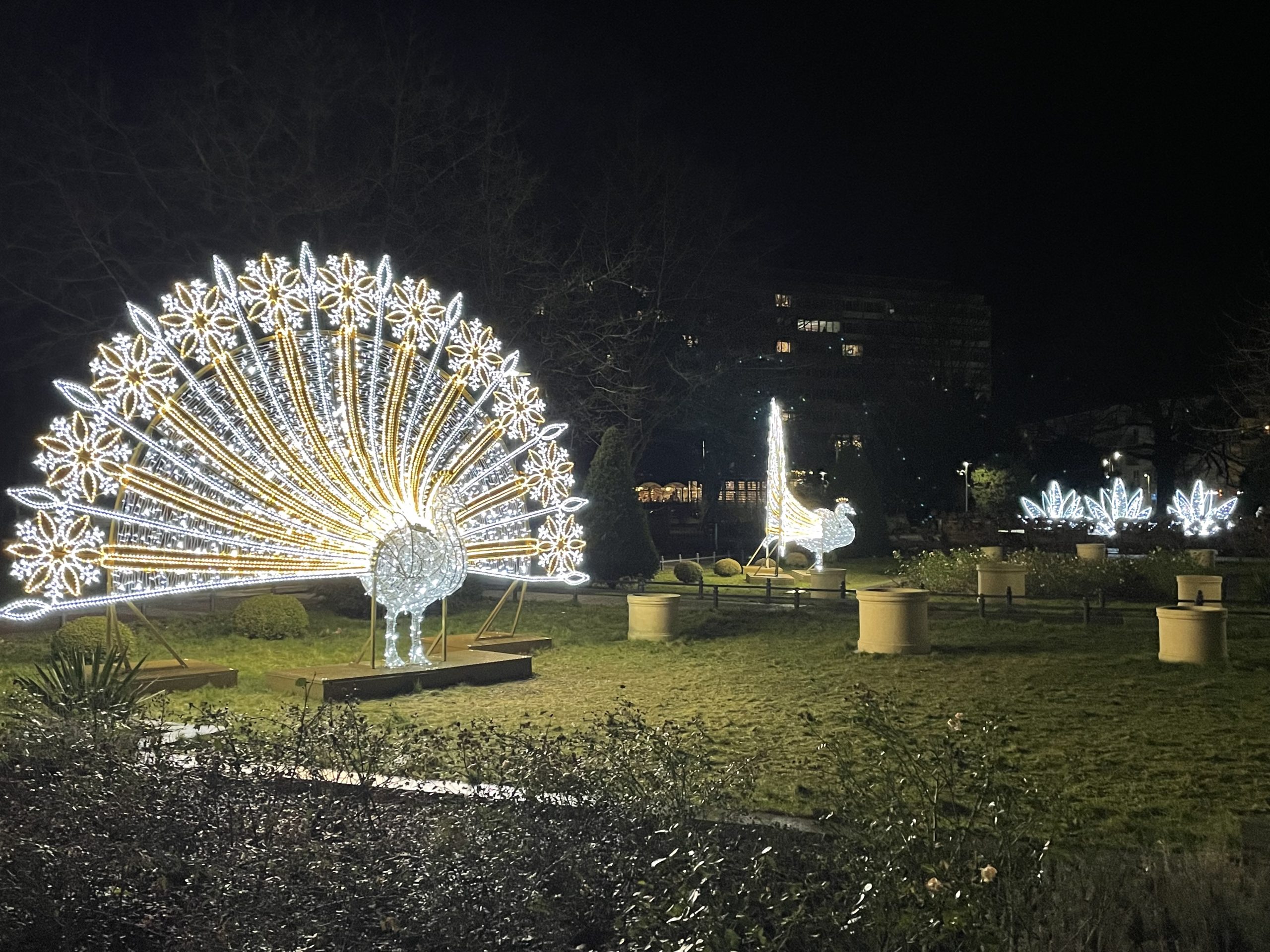 You are currently viewing Wiemy już, ile miasto może zapłacić w tym roku za świąteczne dekoracje