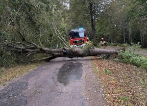 Read more about the article Gwałtowna pogoda: lecą drzewa, zerwane zostało poszycie dachu