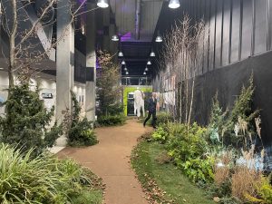 Read more about the article Zaskoczenie i podziw: leśna scenografia skradła show w RCK