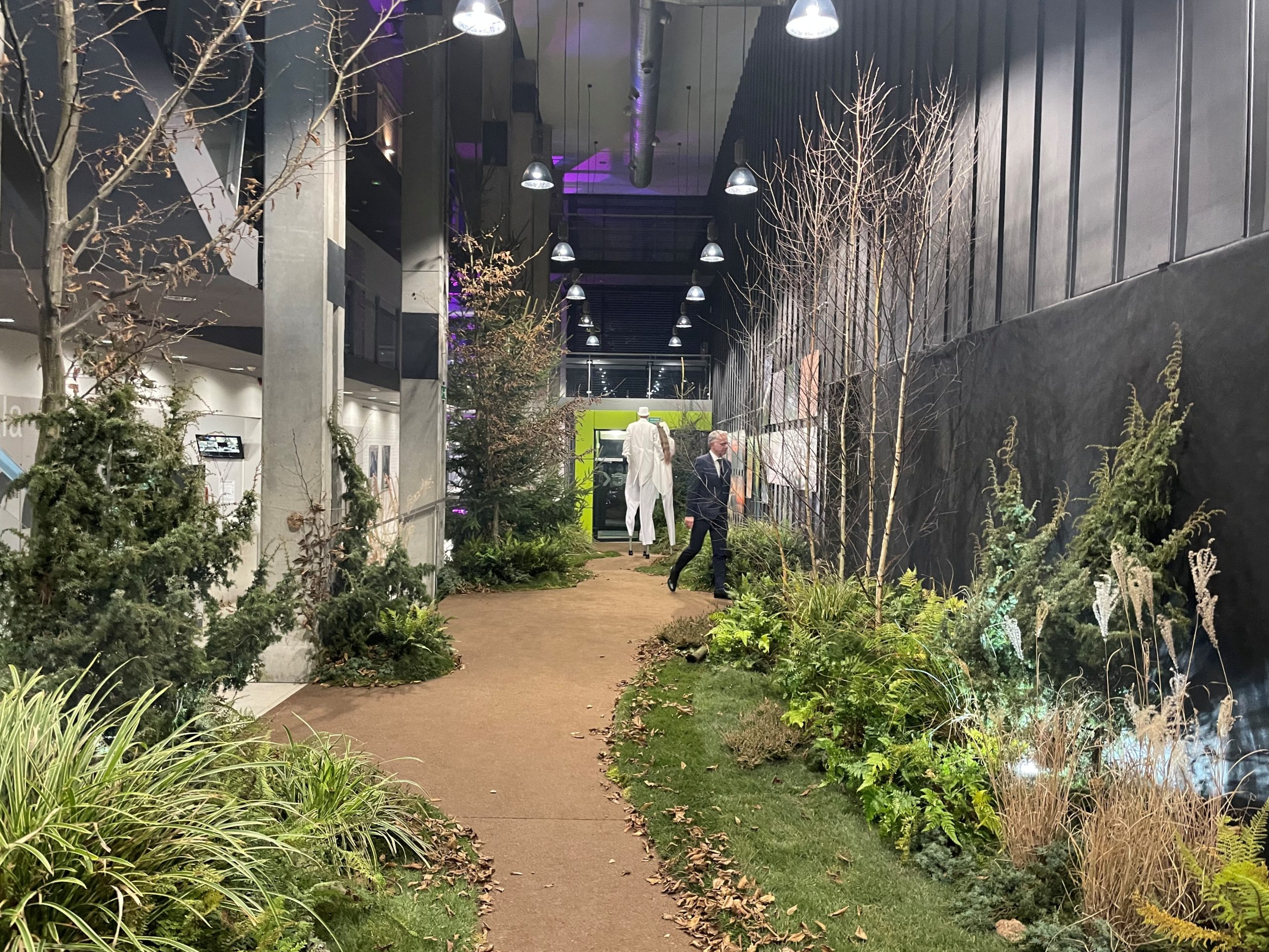 You are currently viewing Zaskoczenie i podziw: leśna scenografia skradła show w RCK