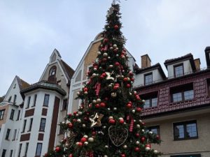 Read more about the article Miejska choinka już jest. Kiedy zabłysną lampki?