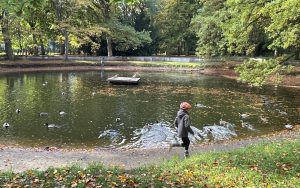 Read more about the article Pięć ofert, ale tylko jedna na kieszeń miasta. Trzeci przetarg na park Szarmacha