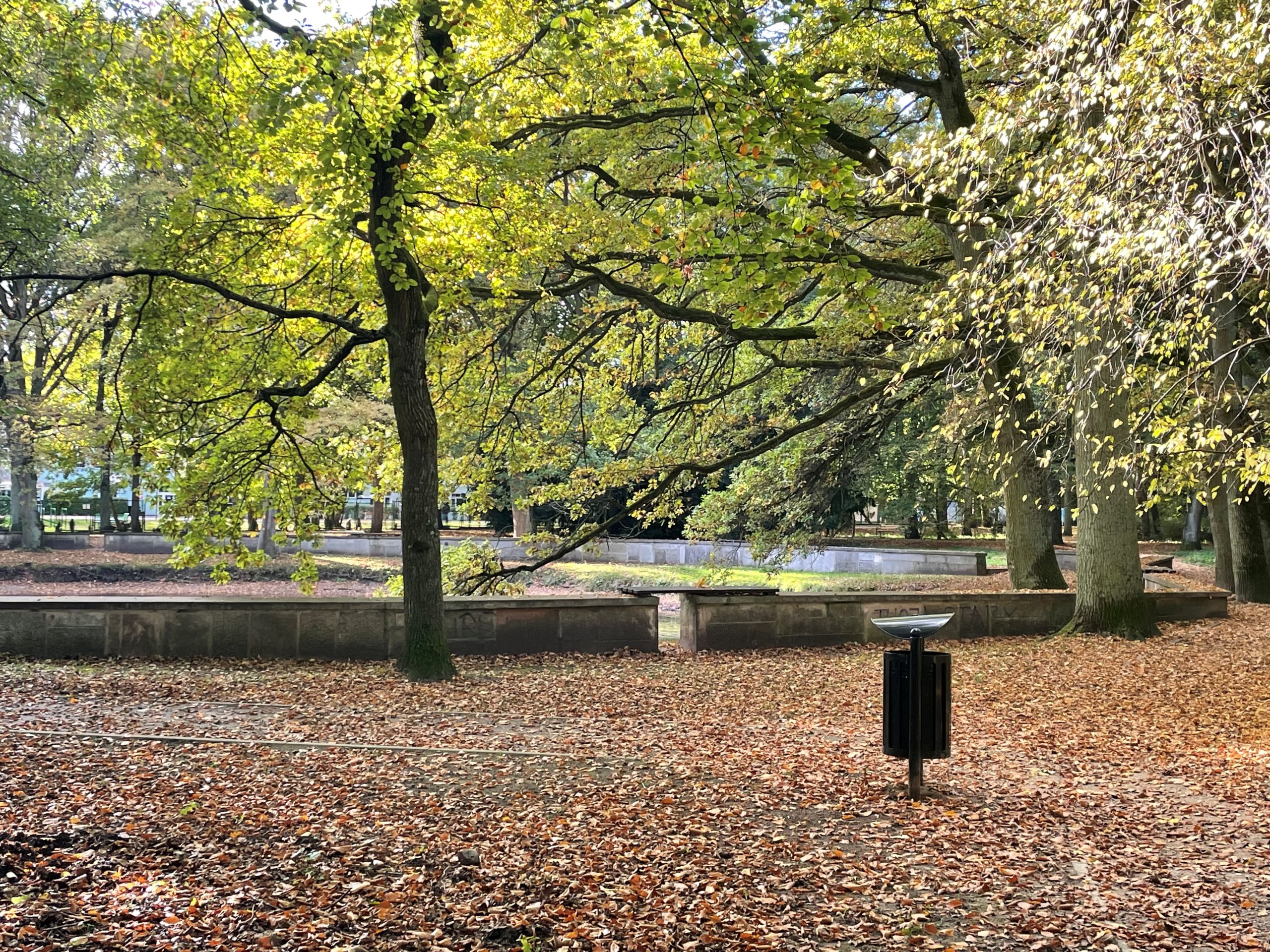 You are currently viewing Kolejny przetarg unieważniony? Rewitalizacja oczka wodnego w parku Szarmacha znów za droga