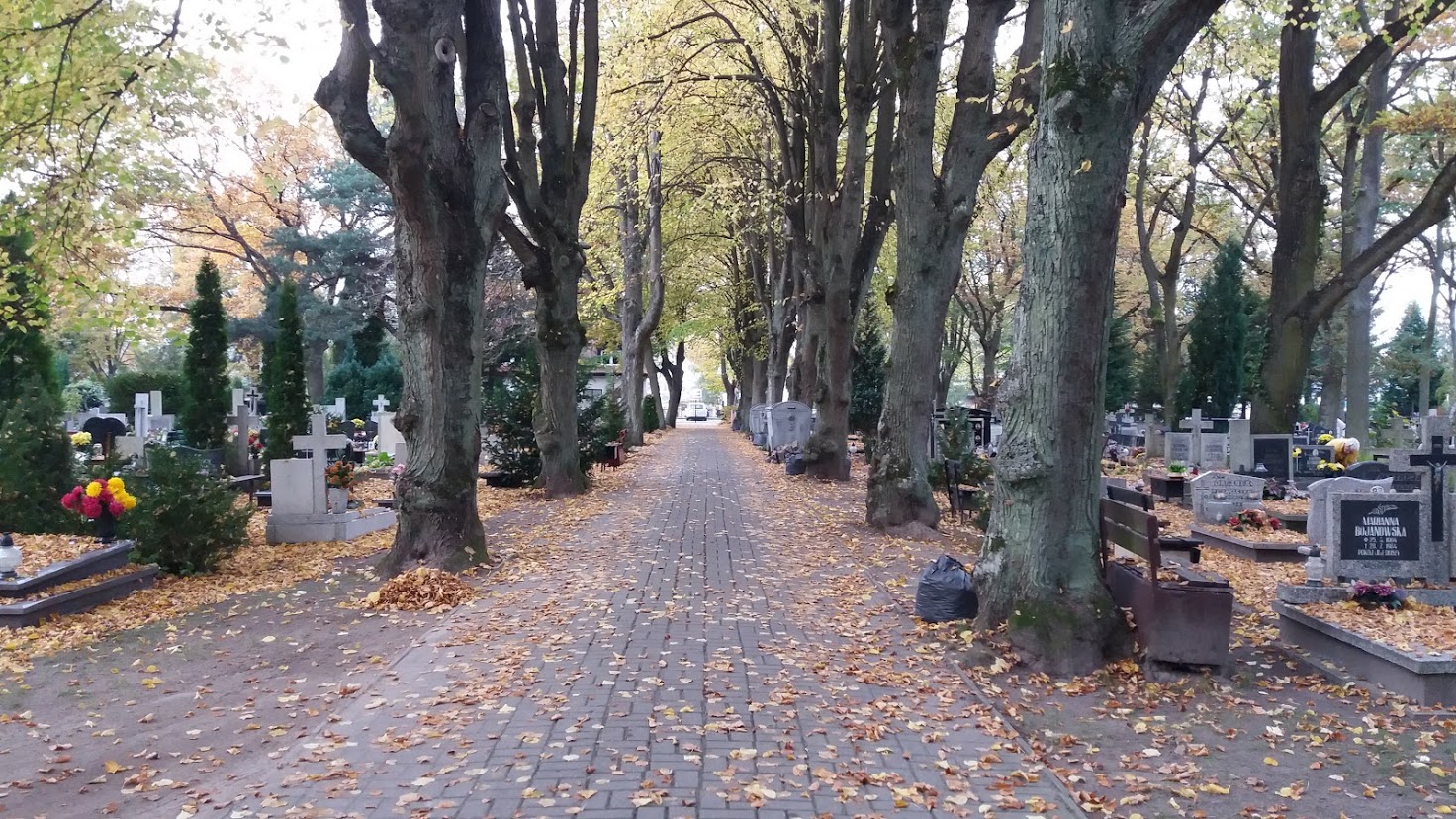 You are currently viewing Nowe opłaty na cmentarzu w Kołobrzegu