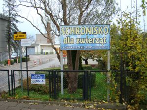 Read more about the article Uderzają w dobre imię kołobrzeskiego schroniska. REKS żąda wyjaśnień