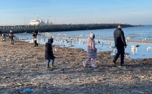 Read more about the article Dziś flauta zamiast sztormu. Na plaży poszukiwacze bursztynu (WIDEO)