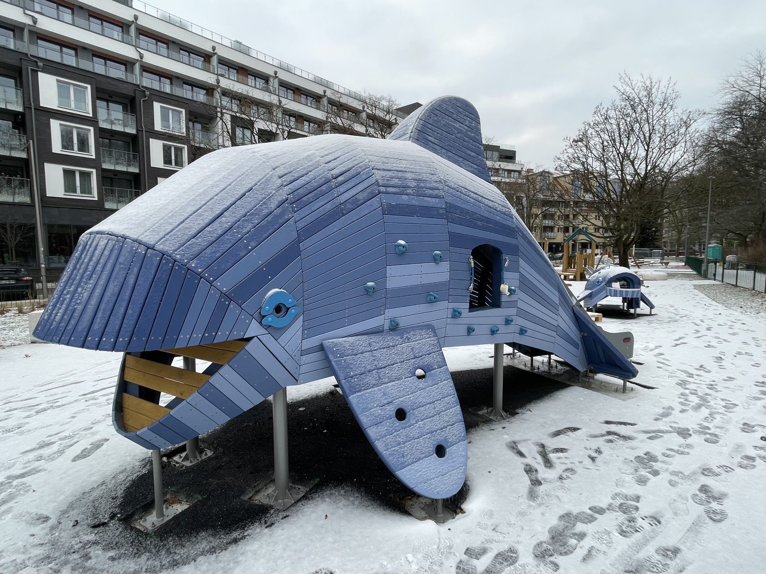 You are currently viewing Morświny przy Westerplatte. Plac nabiera morskiego charakteru