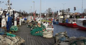 Read more about the article Ile ton i jakie gatunki ryb trafiały do kołobrzeskiego portu w 2025 roku? (PODSUMOWANIE)