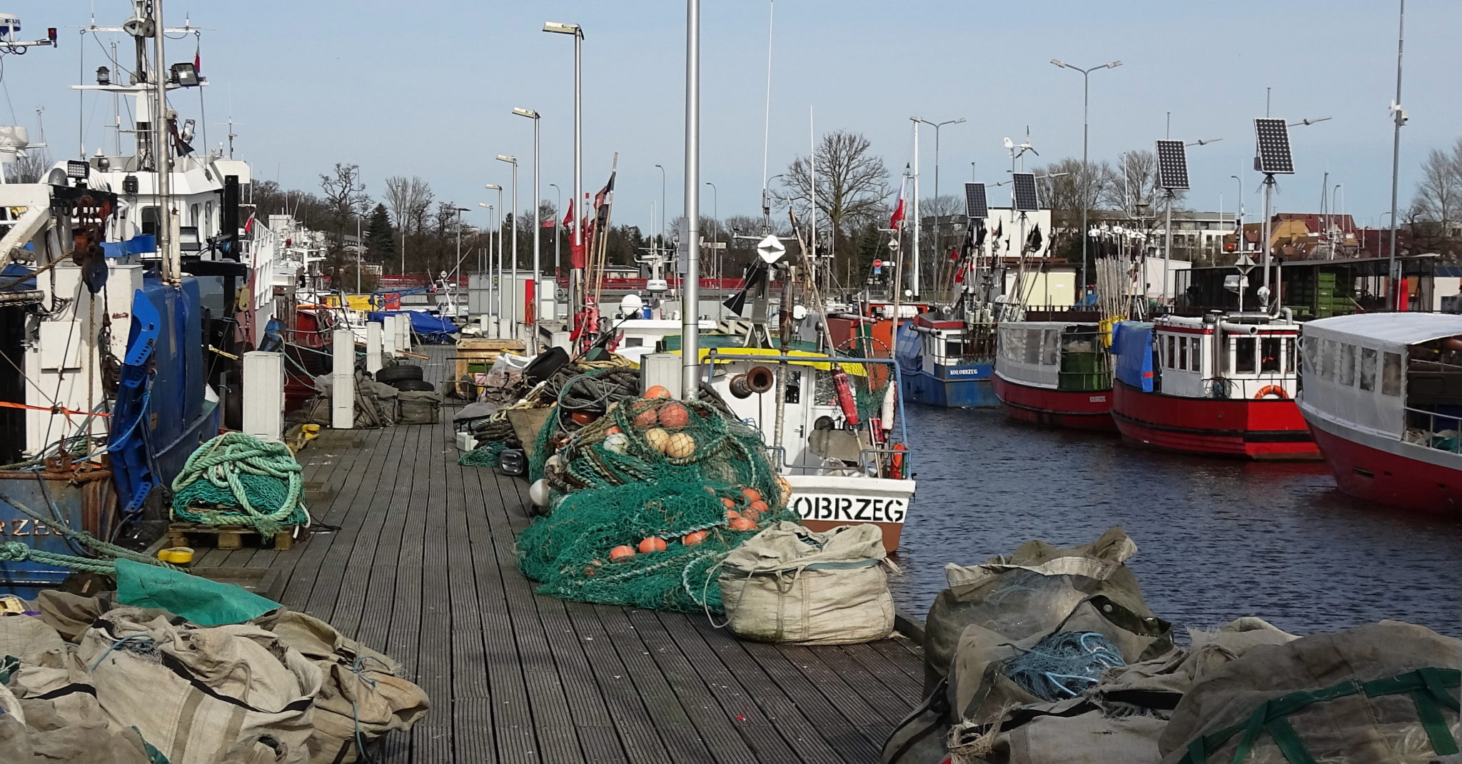 You are currently viewing Ile ton i jakie gatunki ryb trafiały do kołobrzeskiego portu w 2025 roku? (PODSUMOWANIE)