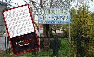 Read more about the article Autorzy mapy alarmowej patoschronisk wyjaśniają dlaczego trafiło na nią kołobrzeskie przytulisko