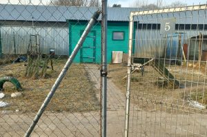 Read more about the article Cud w kołobrzeskim schronisku dla psów. Przytulisko wczoraj było… puste