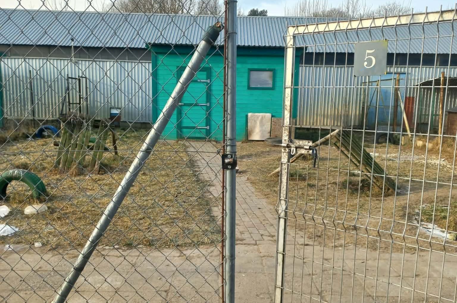 You are currently viewing Cud w kołobrzeskim schronisku dla psów. Przytulisko wczoraj było… puste