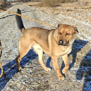 Bruno całym sercem kocha ludzi. Kto pokocha jego?