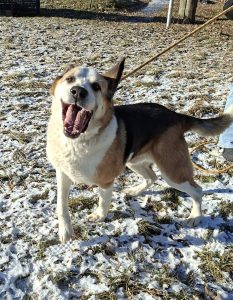 Kuba – wielkie serce i pogodny charakter