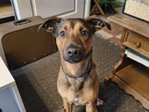 Niunio – aktywny, uroczy cwaniak