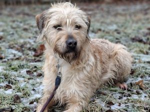 Promyk – łagodny i nieśmiały