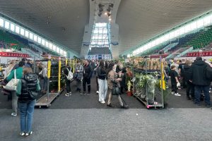 Read more about the article Festiwal Roślin w Hali Milenium (WIDEO)