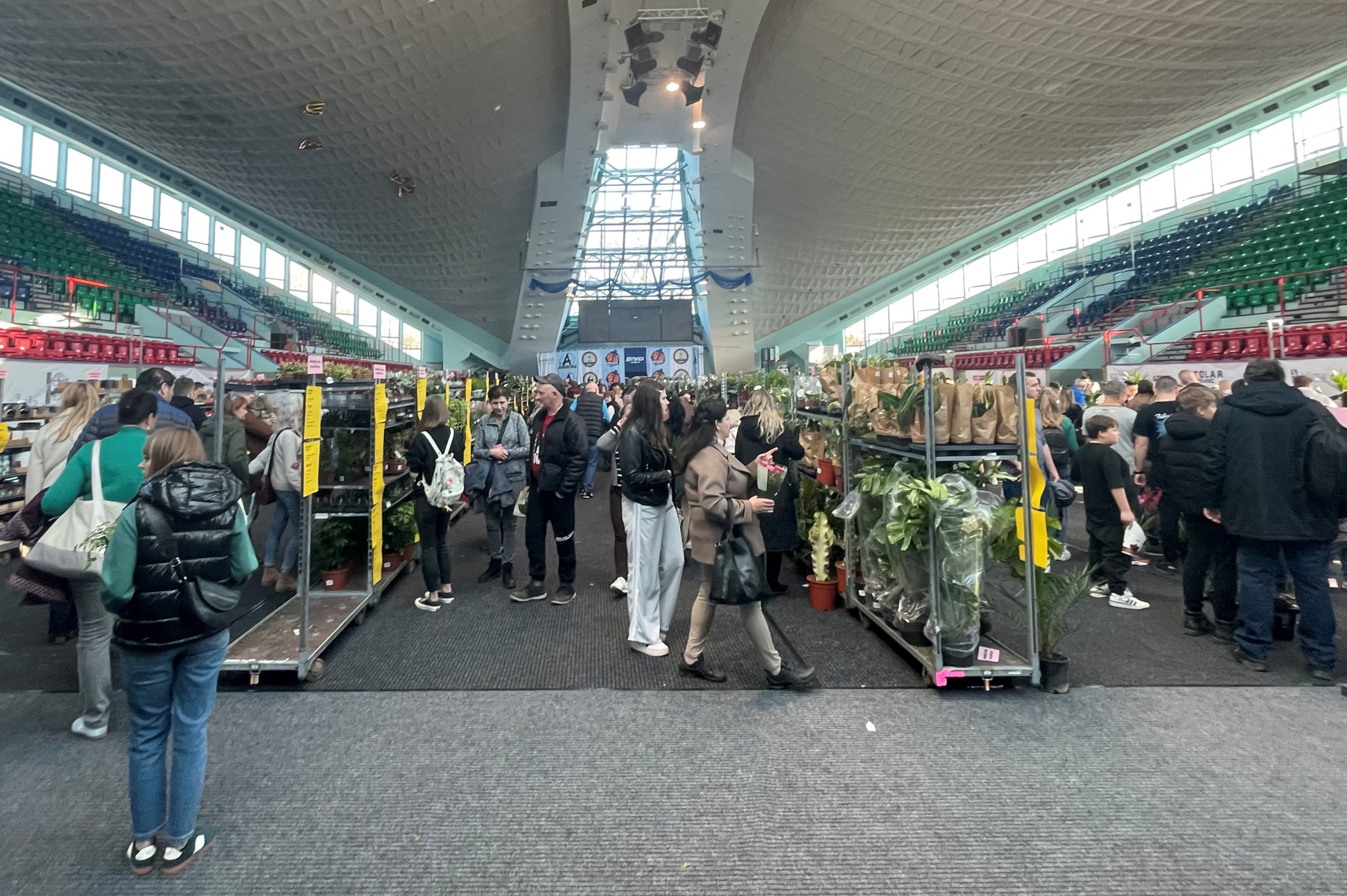 You are currently viewing Festiwal Roślin w Hali Milenium (WIDEO)