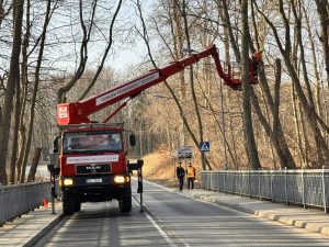 Read more about the article Suche drzewa usunięte. Martwe drewno zostawiono do naturalnego rozkładu