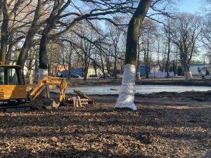 Read more about the article Trwa rewitalizacja w parku im. A. Szarmacha (ZDJĘCIA)