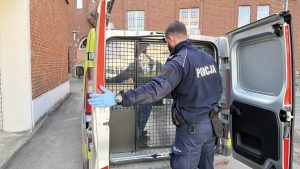 Read more about the article KRONIKA POLICYJNA: nietrzeźwi kierowcy, poszukiwani i chuligańskie wybryki