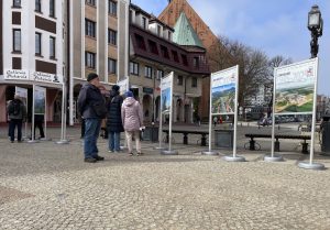 Read more about the article Wystawa plenerowa na placu Ratuszowym