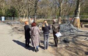 Spotkanie w sprawie płazów w Parku Szarmacha. Będą nowe rozwiązania dla siedliska