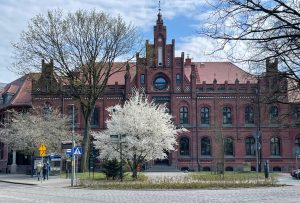 Warto przejść się centrum Kołobrzegu. Kwitną ozdobne drzewa owocowe