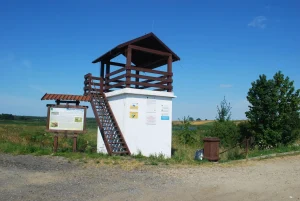 Mokradła Pyszka zyskają nowe życie. Unijne fundusze sfinansują remont infrastruktury