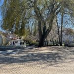 Skwer Pionierów w Kołobrzegu