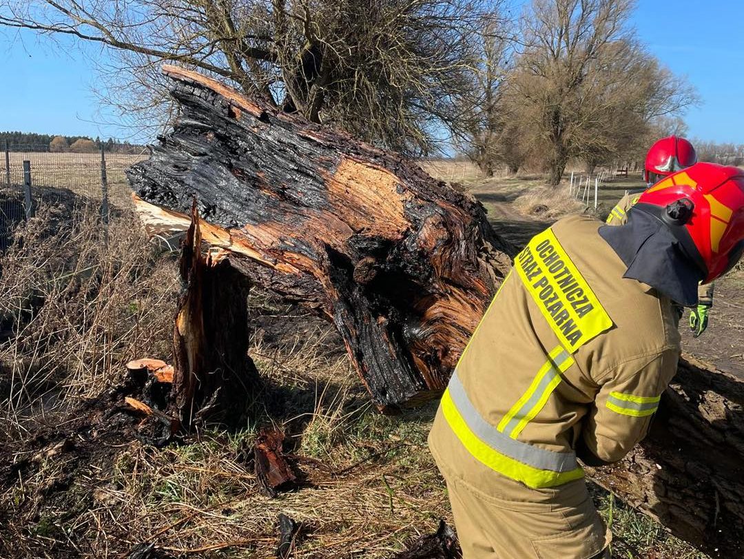 You are currently viewing Trzy pożary w pow. kołobrzeskim. Największy w Bagiczu