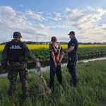 Służby ujęły kłusownika na gorącym uczynku