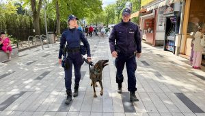 Częstsze patrole policjantów z psami służącymi w policji