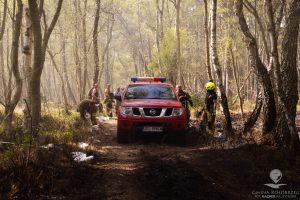 Read more about the article Trwa narada u strażaków. Pożar ugaszony, ale ogień tli się pod ziemią