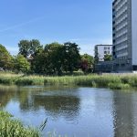 Łacha na Parsęcie policzona. Firmy wyceniły usunięcie przymuliska